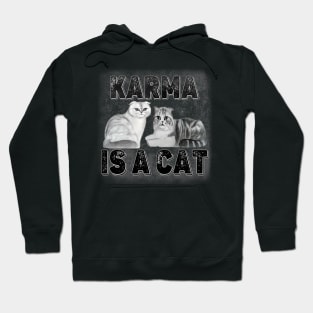 Karma Is A Cat - Beautiful Olivia Benson And Meredith Grey Hoodie